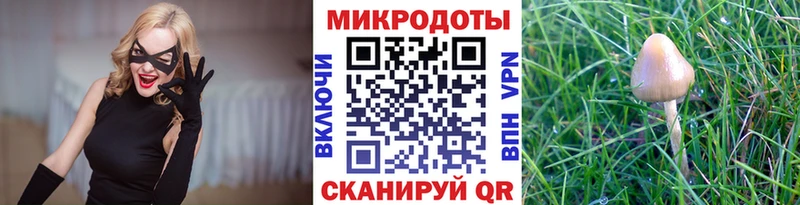 Псилоцибиновые грибы прущие грибы  цена наркотик  Мелеуз 